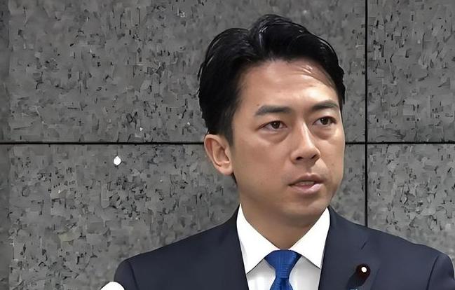 谁都没料到，6 月的最后一天，日本会直接派出两位核心大臣下场，对着中国接连发难。