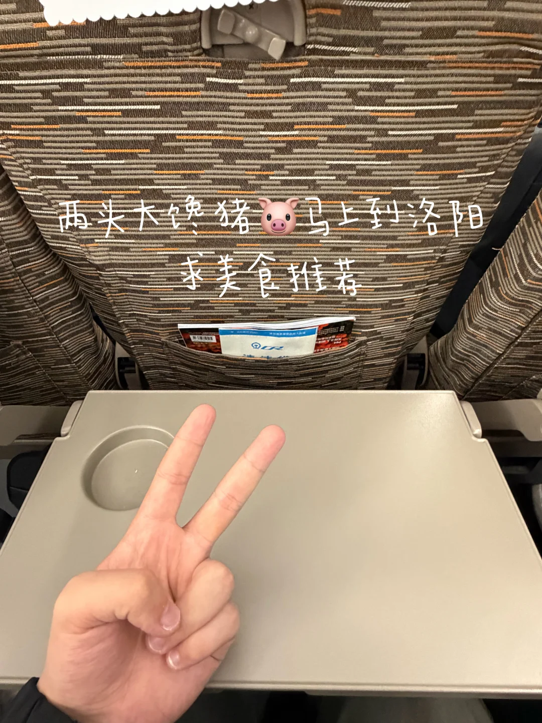 两头大馋猪马上到洛阳，求美食推荐！