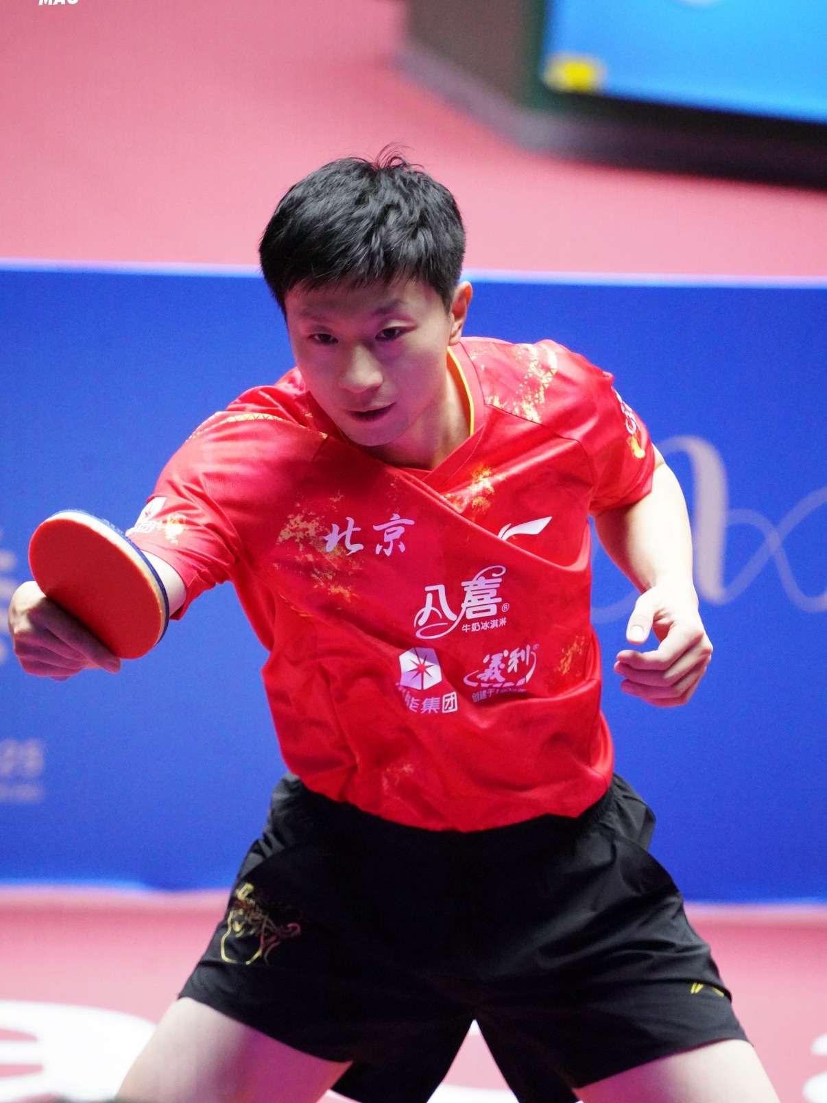 马龙学成龙打拳申请一级难度系数 乒坛六边形战士学拳变“手忙脚乱”，一级难度也难不