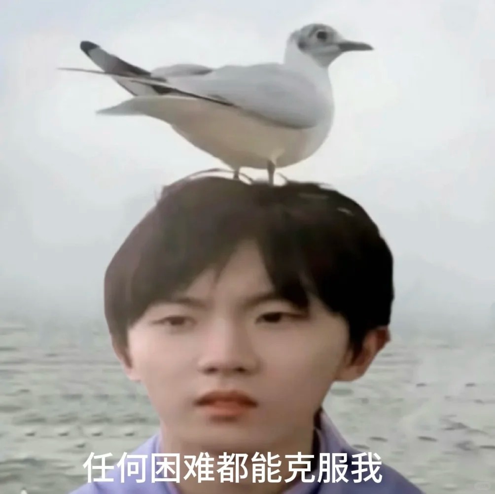 马嘉祺录综艺还在论文查重 学习一直也没放过马嘉祺