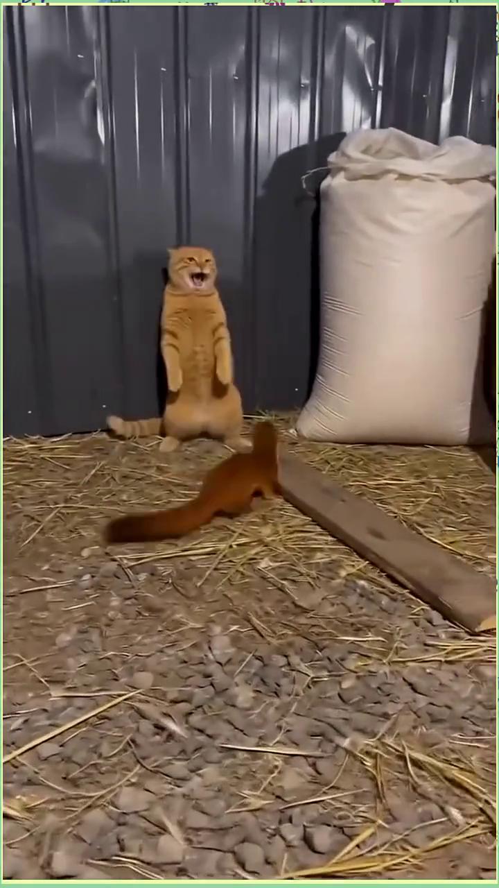 啊，啊，啊，啊，啊，啊，啊，啊，啊，啊，啊，啊，啊，啊，啊，啊。