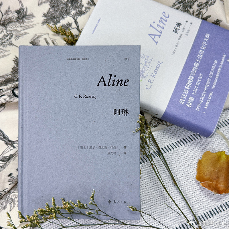 文学汇 书摘丨邮递员每天巡回派送信件。他头上戴着镶红边的帽子，身上穿着灰色的工作