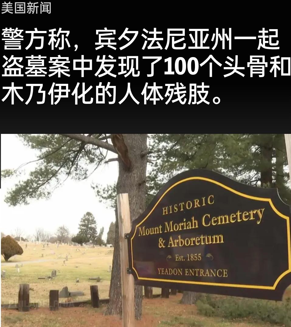 新闻快讯——美国费城郊区警方因汽车后座的骸骨，查获一处囤积人体残肢的地下室，34