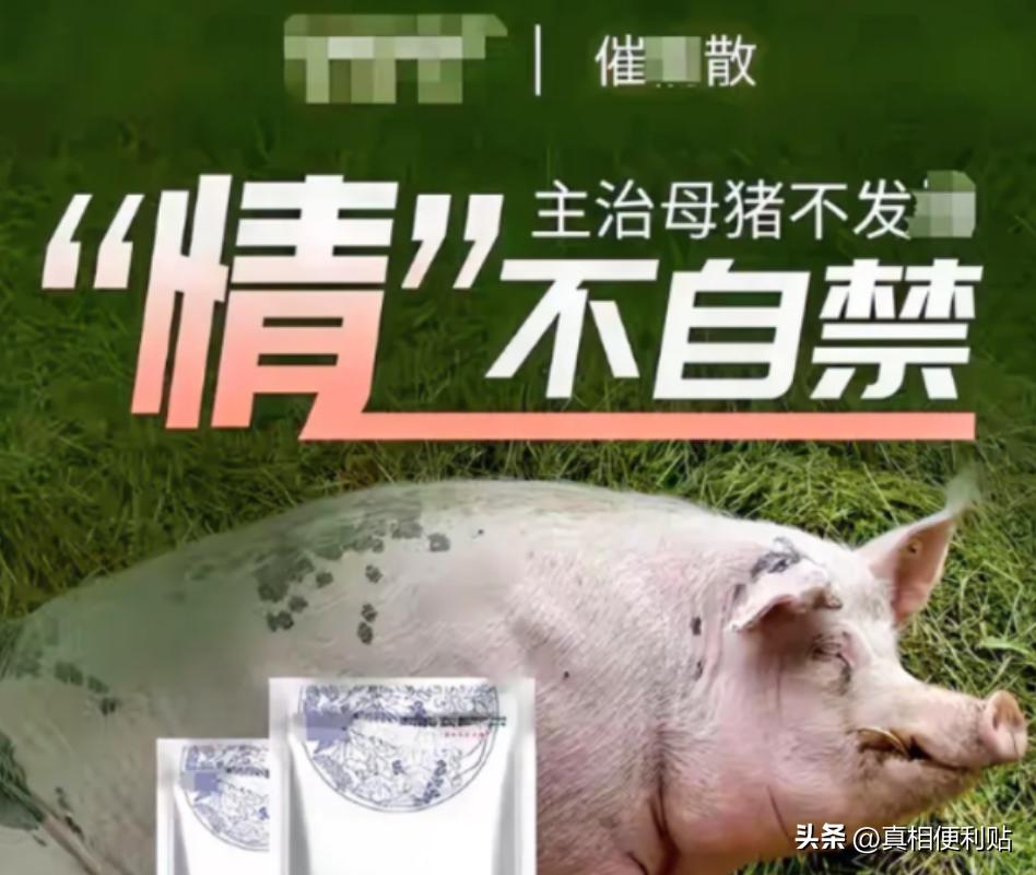 2019年小伙往饮水机投放母猪催情剂长达两年，却无一人发现，直到整个单位上至局长