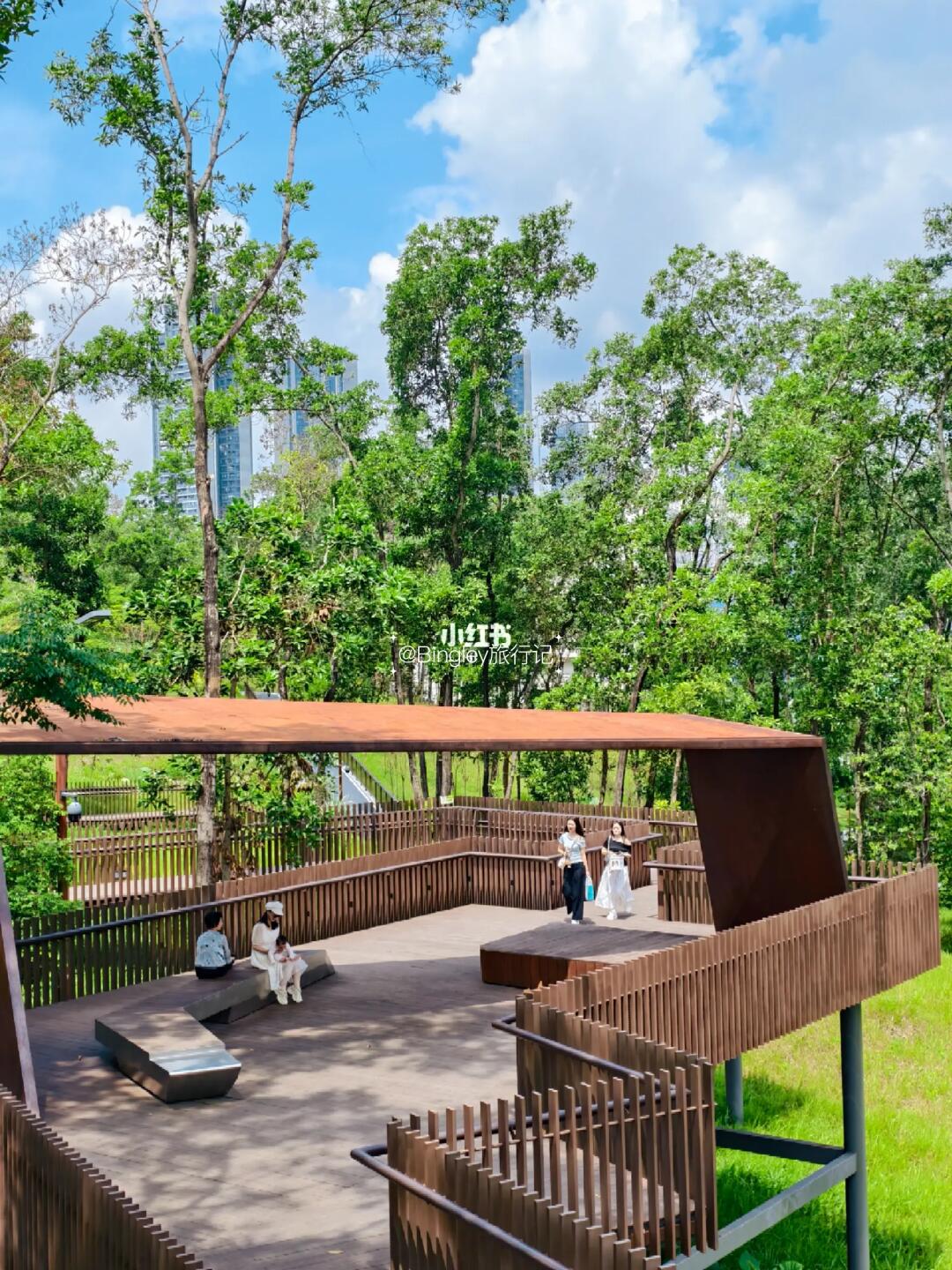 侨城北公园，我闻到了夏天的味道🌿