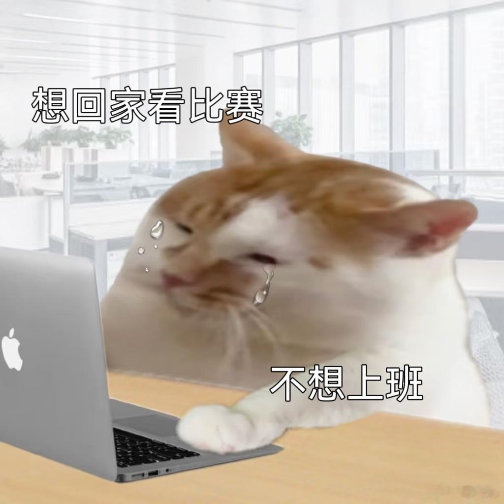 我们为什么如此热爱世界杯世界杯从不只是一场赛事，绿茵场上有拼搏与热血。每一次奔跑