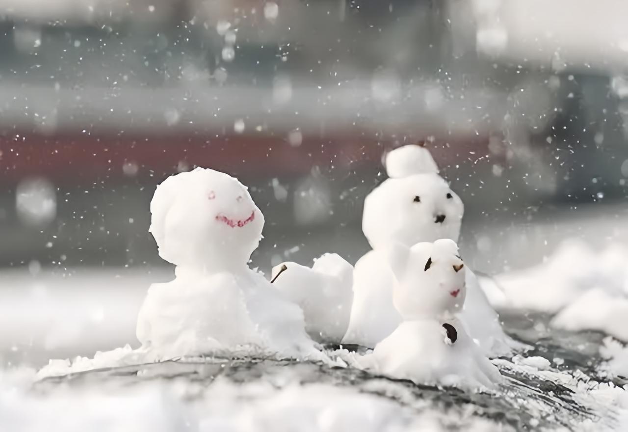 到了大雪这天，其实我们本地是没有什么较为明显的民俗活动的，但是去年大雪的时候，我