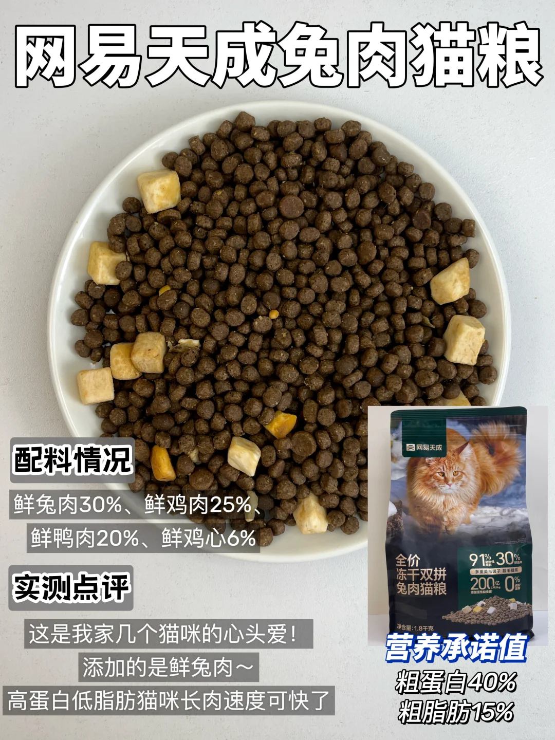 长肉猫粮大分享！新手铲屎官看过来！