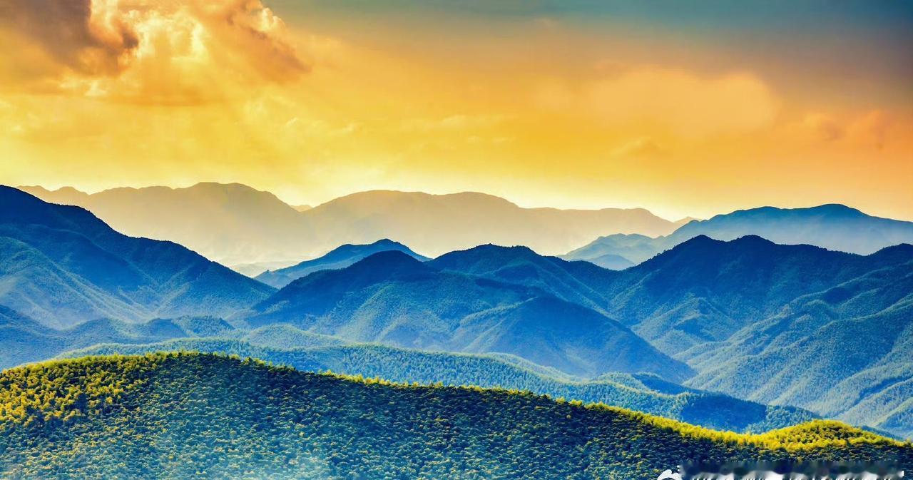 普法宣传【“零容忍”惩治破坏生态环境犯罪】“在王某某非法狩猎这起案件中，不仅追究