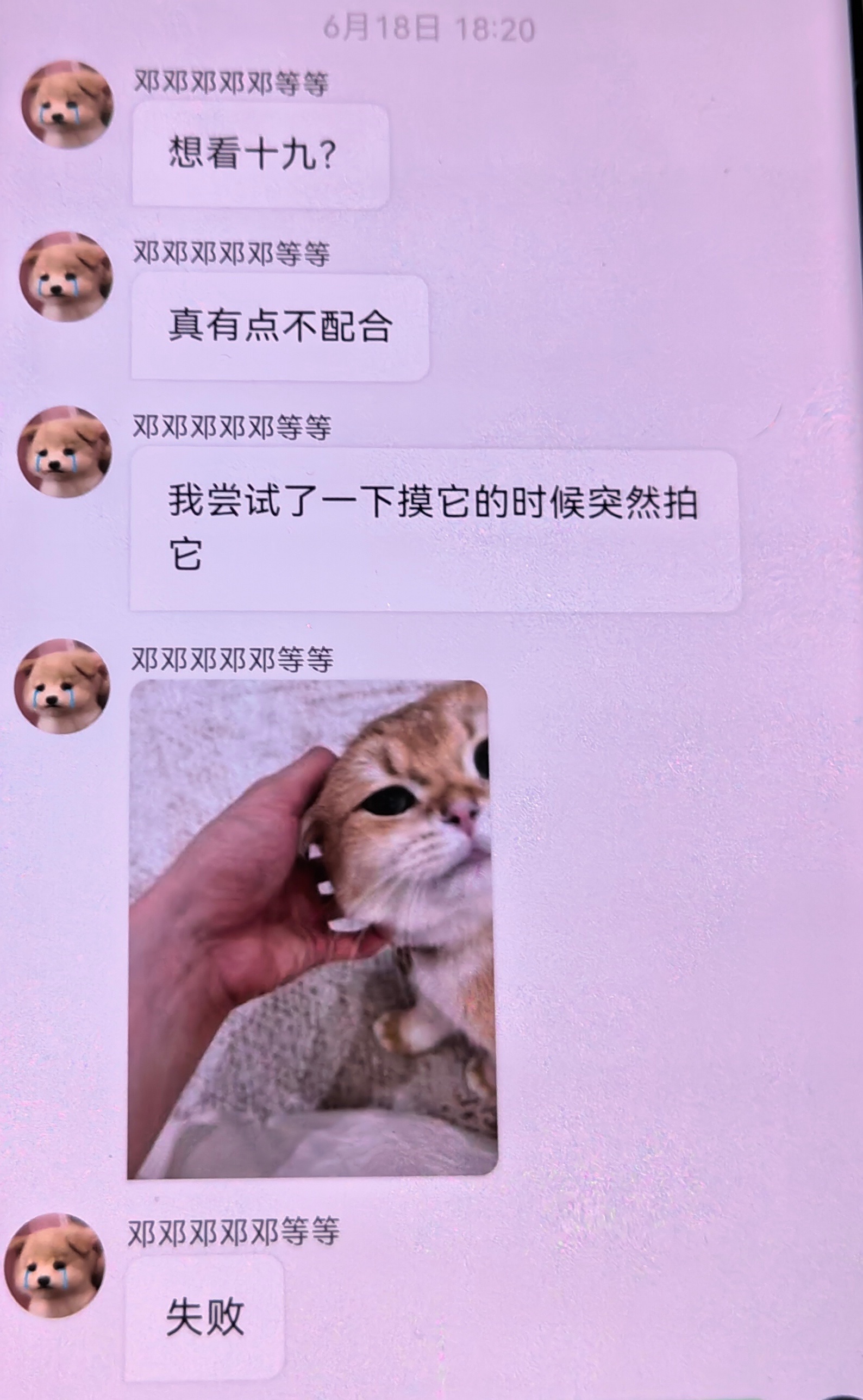 十九咋这么调皮！ 