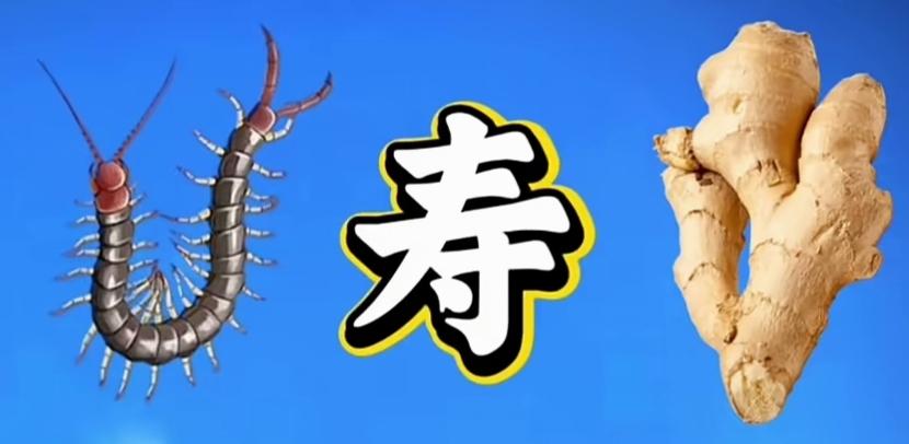 “长寿秘诀：蜈蚣和姜，健康生活每一天！”🌿🐍🍜快乐猜词语，开心快乐，这个组