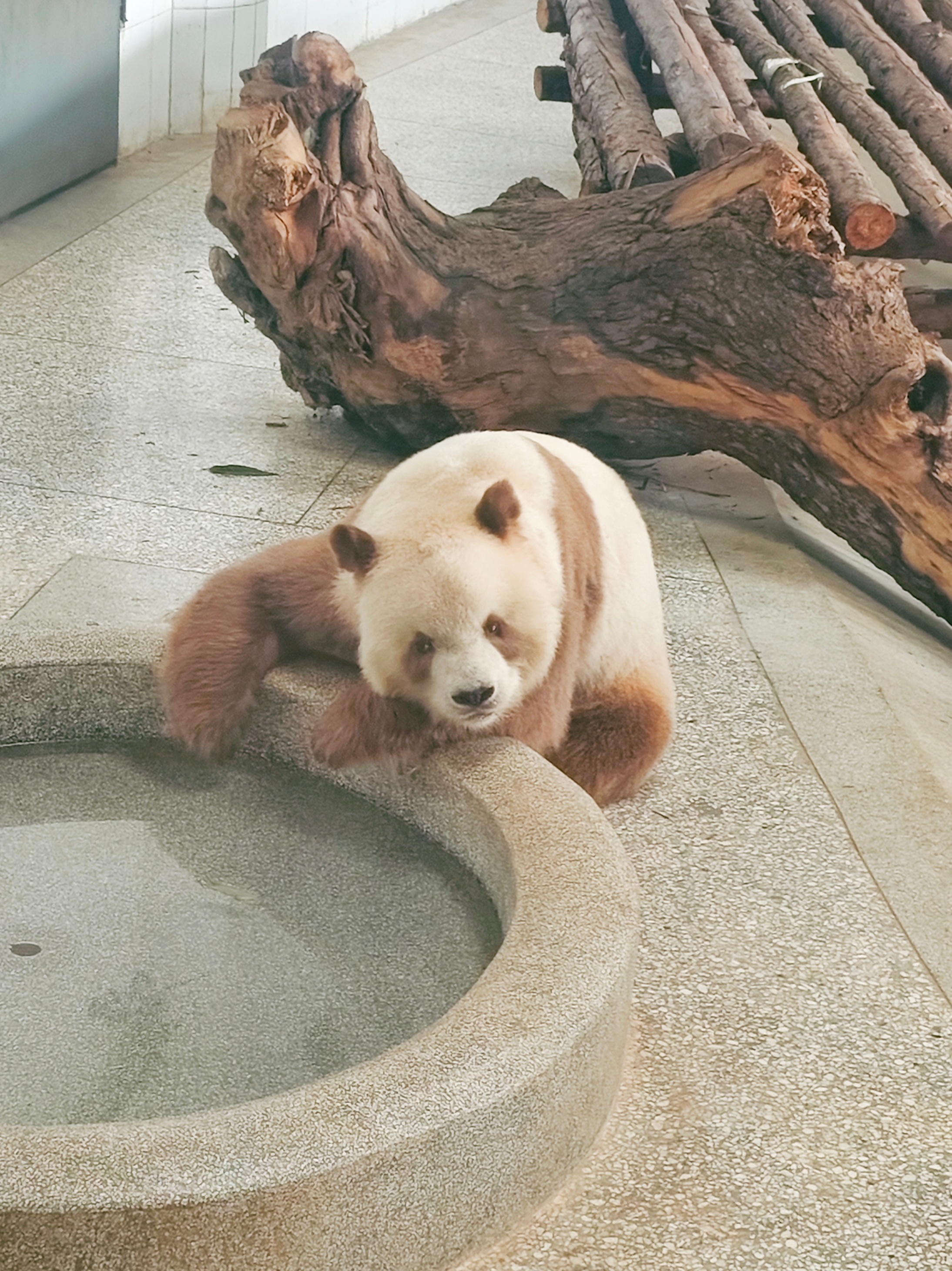 为了碟醋包了顿饺子，这次来西安主要是看七仔的，很给力室内室外都拍到了，先分享室内