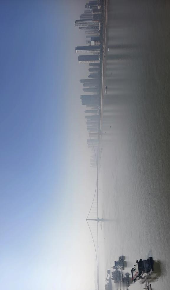 武汉的雾霾是野生的还是外来的
武汉人的精神状态 昔人已乘黄鹤去 在武汉非遗就是生