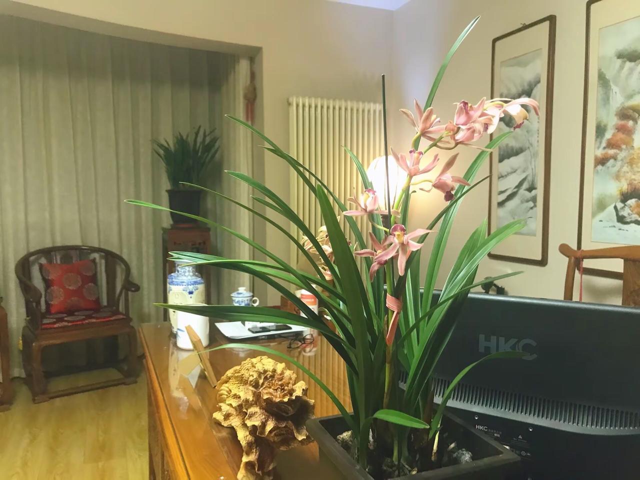 平台型企业不靠产品赚钱，根本不在乎利润有多大分红有多少，他们靠后端的服务和资本化