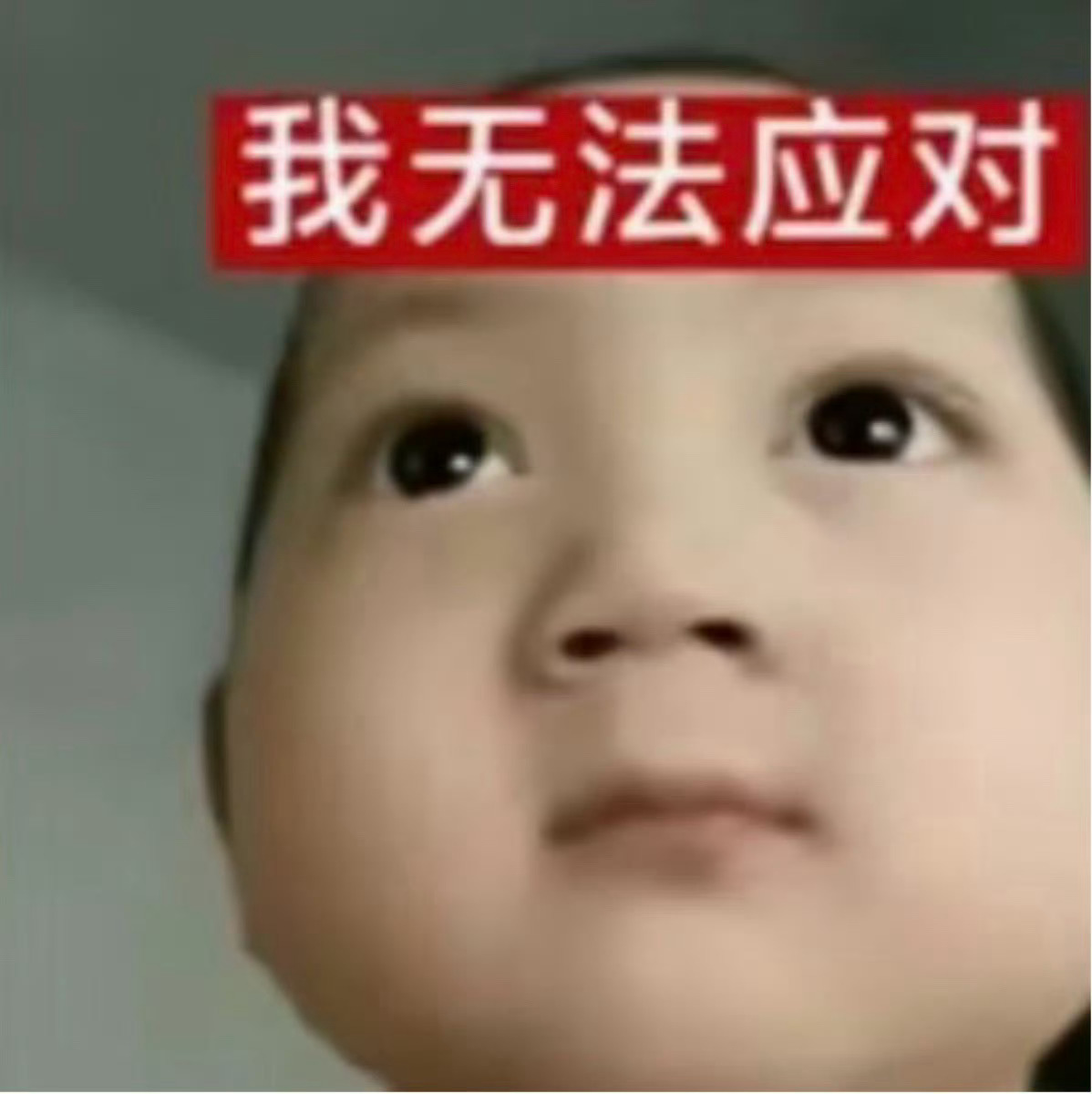 晚上好，来个体能跟赛谢谢