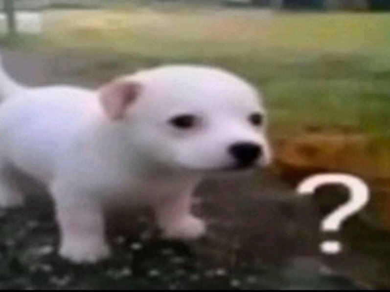 哇靠真的一模一样… 