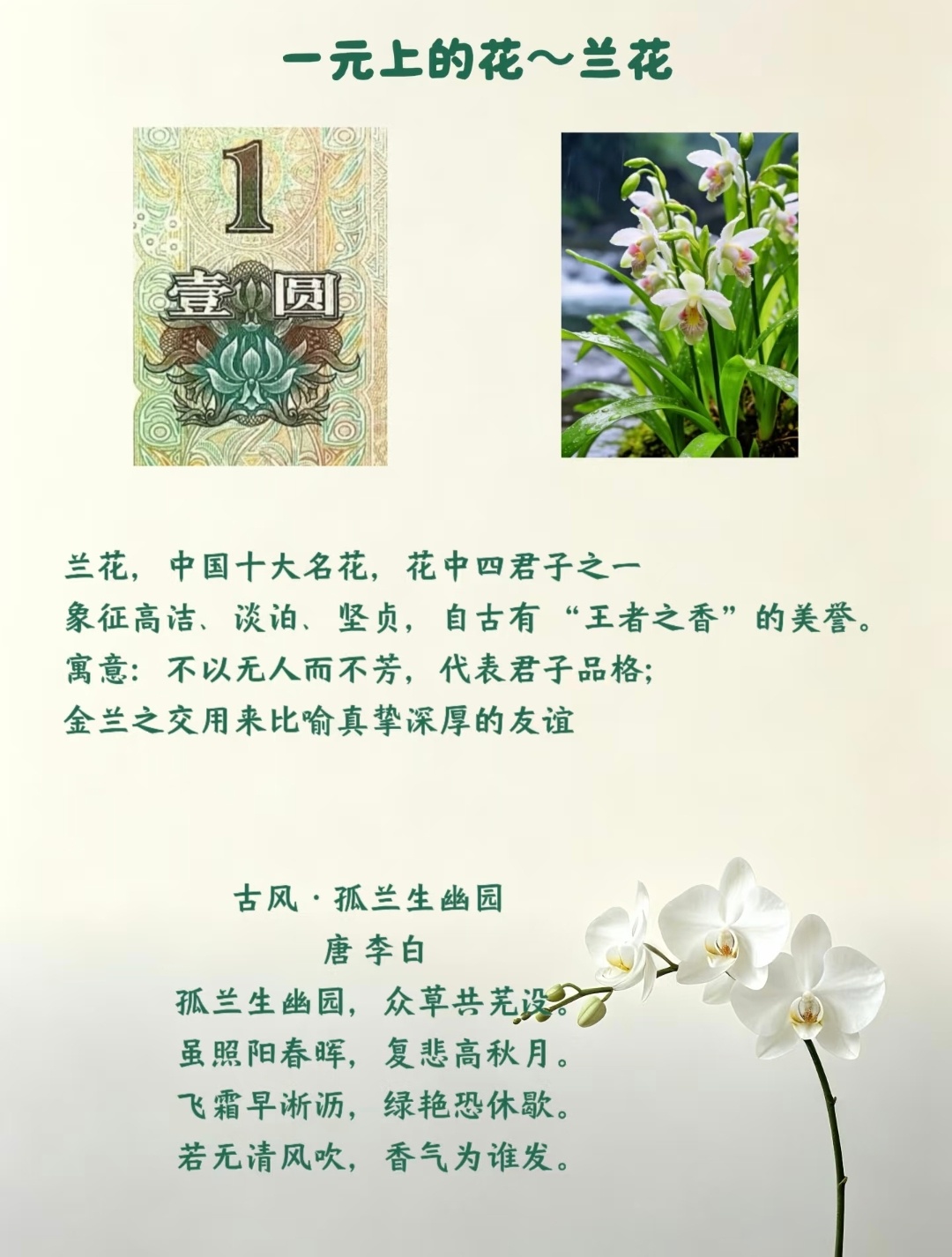 人民币上的花都是什么花 … ？ ​​​