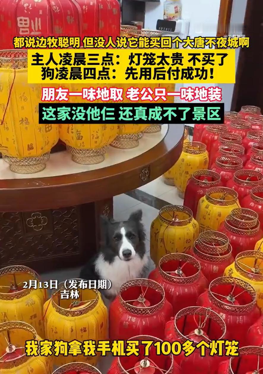 “笑不活了！”吉林，一女子凌晨3点刷手机想买些灯笼过年，选来选去觉得灯笼太贵就没