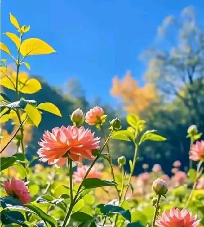 情绪就是你的风水你要学会控制好你的情绪，当你的情绪好的时候，你会发现你的家庭也好