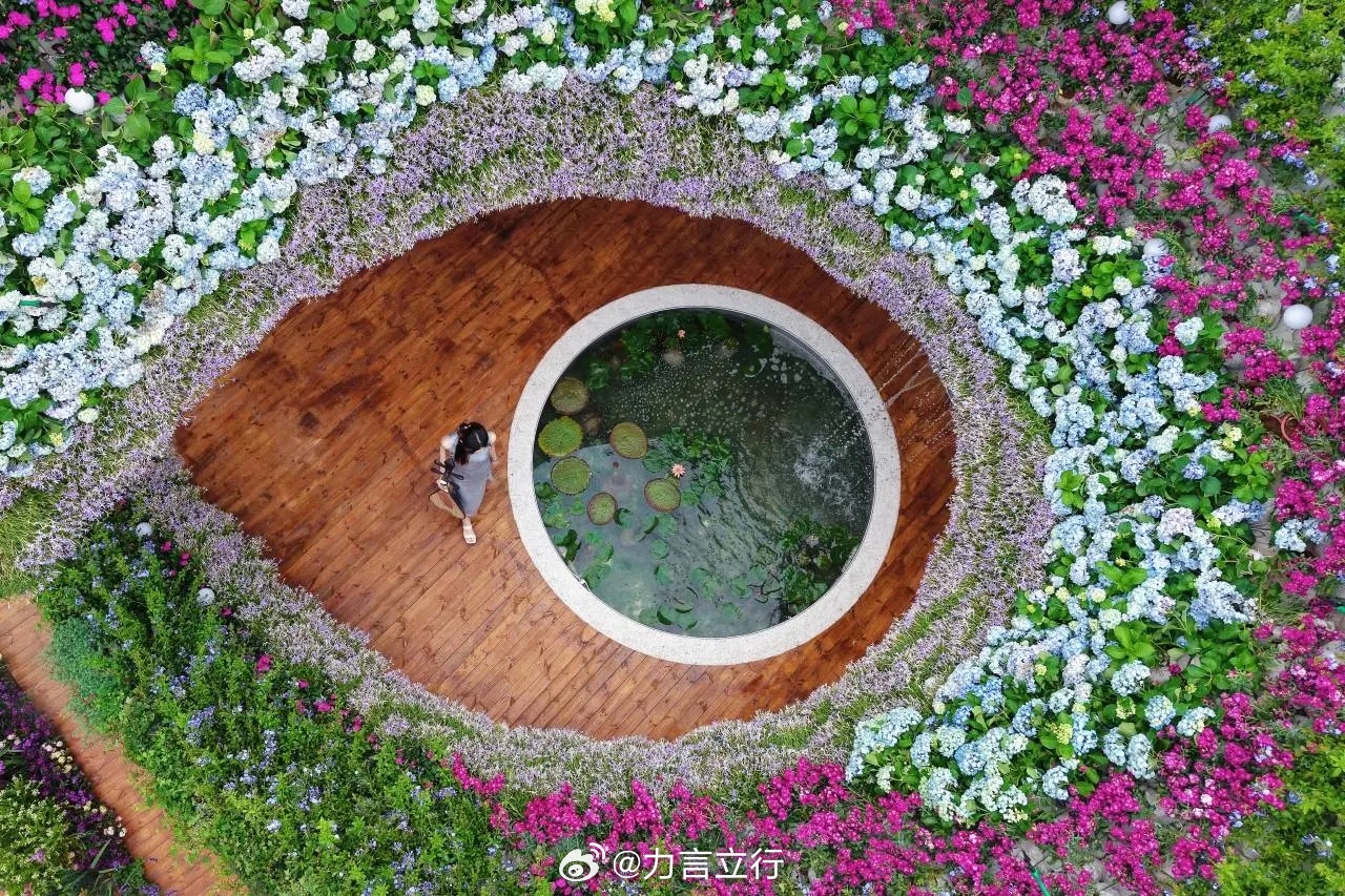 期待晚上的比赛精彩好看一些，不然今天就太难过了！中国女排排球排超联赛中国女排