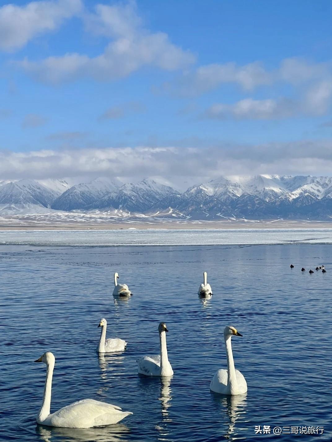 嗨拼游·HAPPY游｜2-6人小团，邂逅新疆最美春天
 
专属2-6人精品小团，