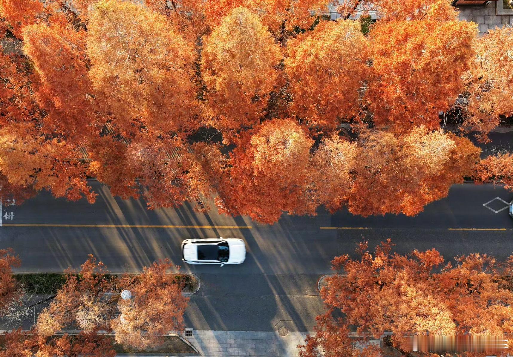 新华社这组图太美了！冬天里的大美中国 今天是节气大雪，标志着仲冬时节正式开始。冬