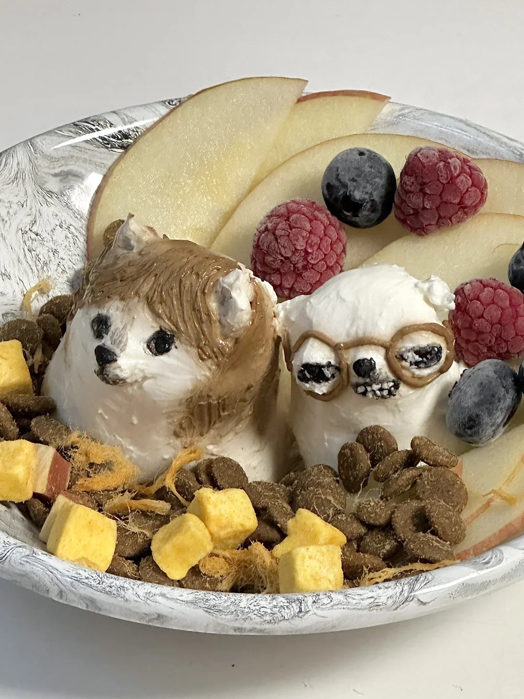 斜眼柴犬和眼镜吉娃娃酸奶碗
