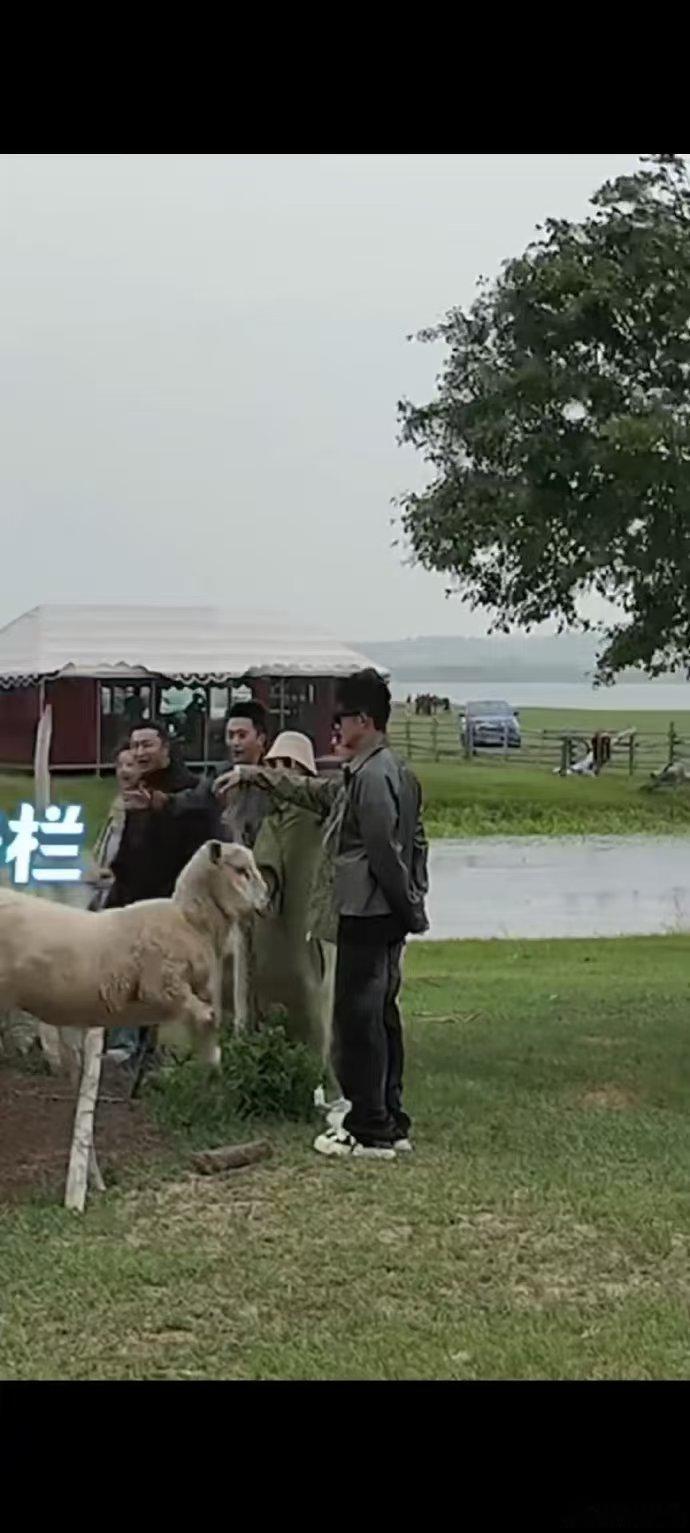 #王冰冰尼格买提被羊跨栏惊呆了# 《此生要去的100个地方》带我们领略羊跨栏的奇