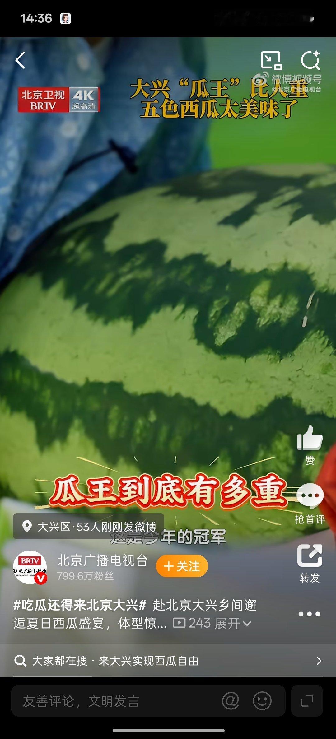 吃瓜还得来北京大兴来大兴实现西瓜自由 大兴的西瓜也太绝了！沙甜多汁还爆糖，一整个