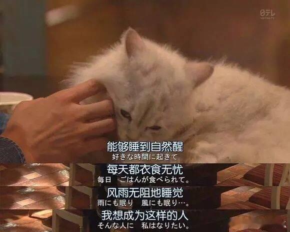 好想成为这样的人啊[期待]想退休[爱慕] ​​​