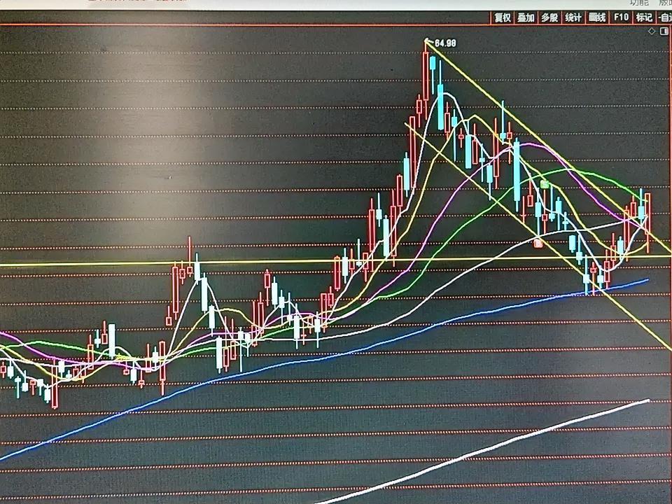 天赐材料（002709）基本面+技术面完整拆解
 
一、基本面：中报业绩增长逻辑