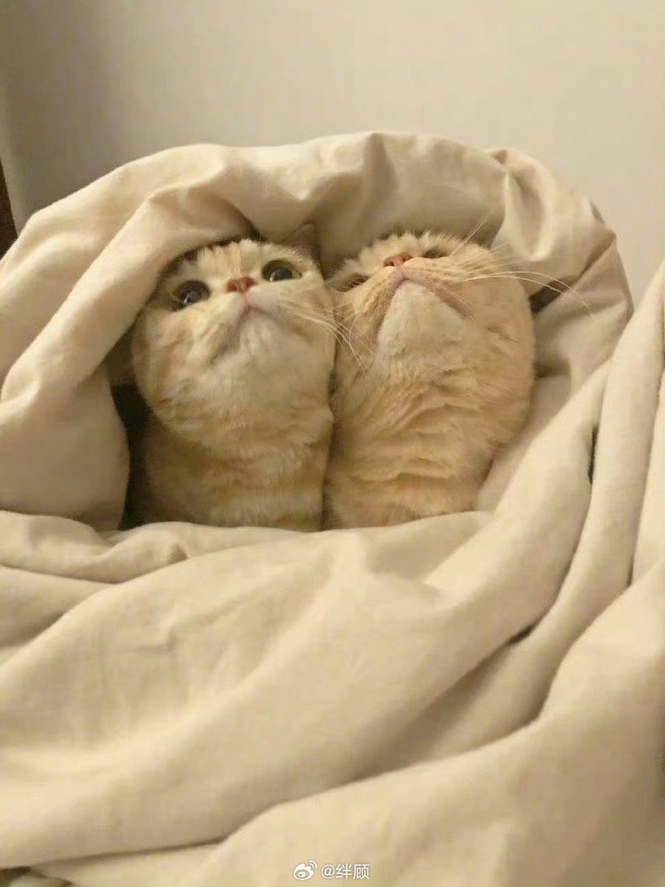 三天内，得到梦寐以求的东西 