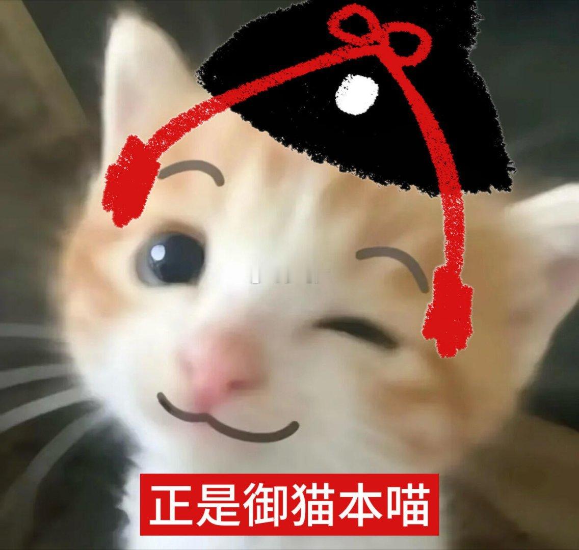 杨洋ip河南 墨镜一戴，谁都认得出是我的展大人！河南欢迎你，IP对上了就是回家！