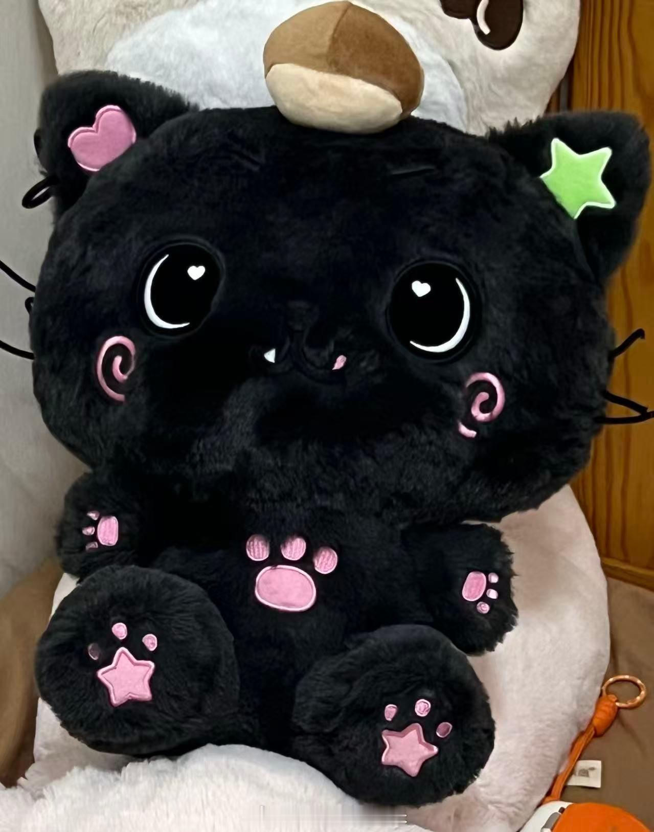 好想我的胖猫 