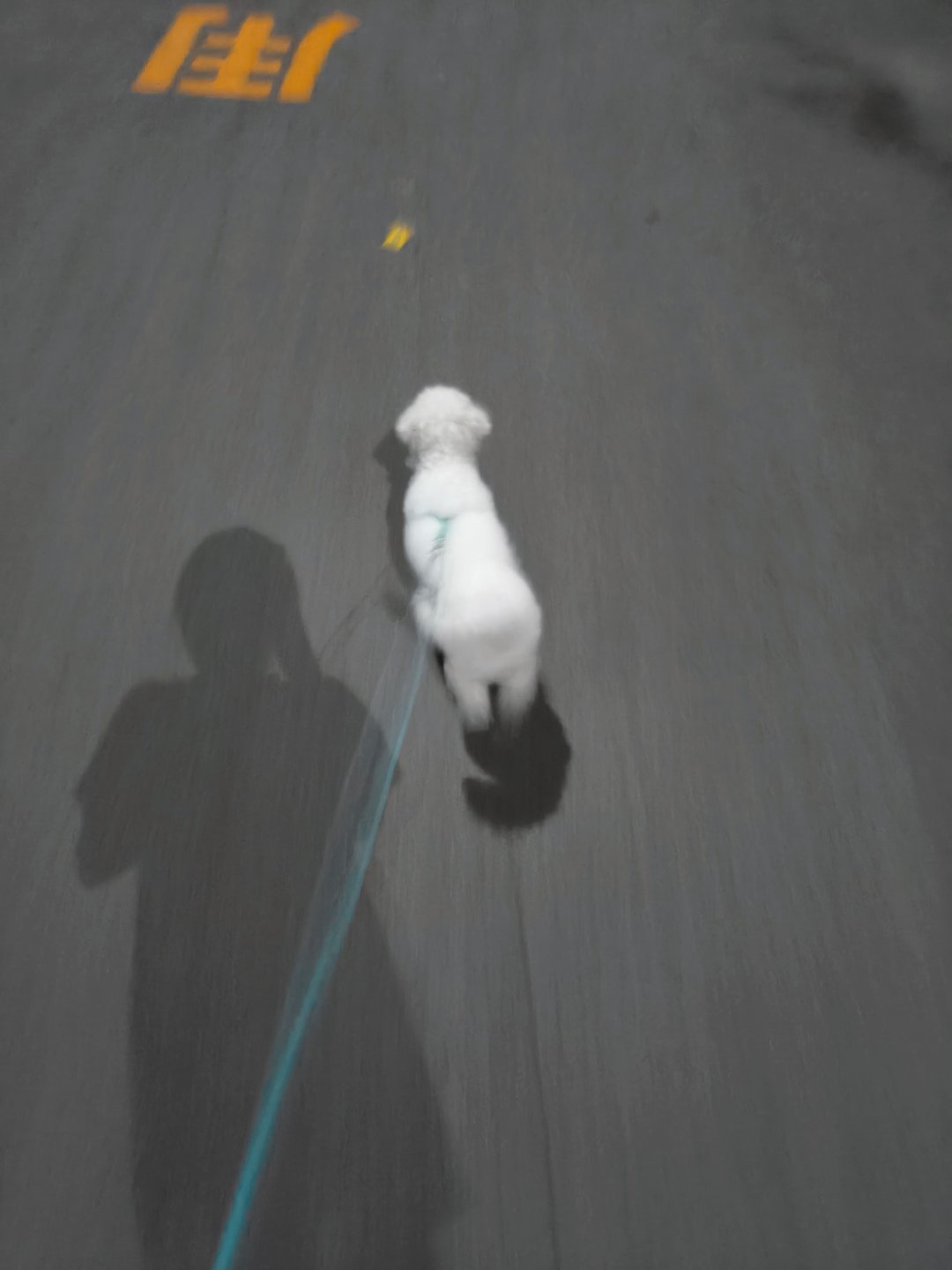 闪电小子 ​​​