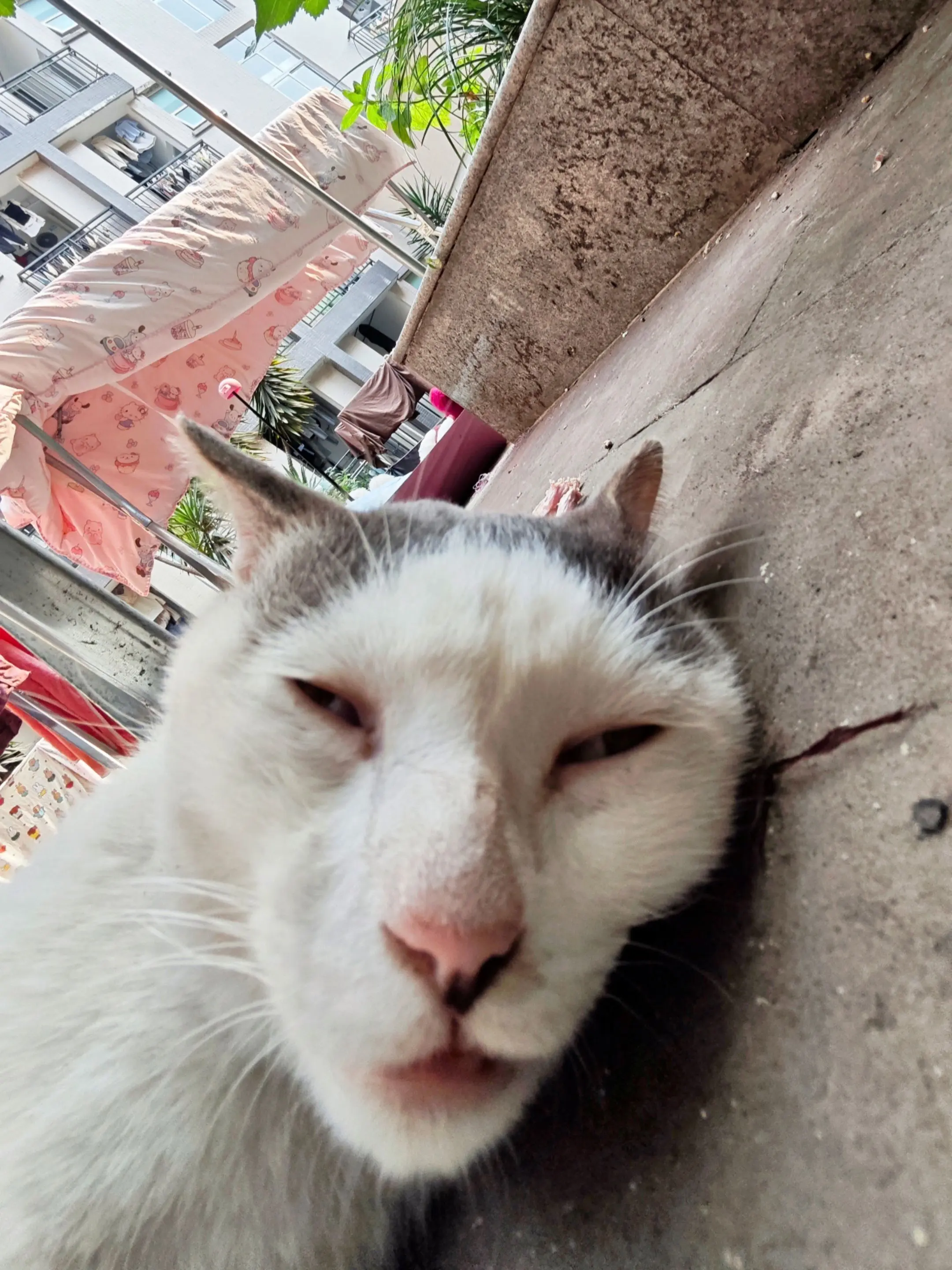 就这样看着你。