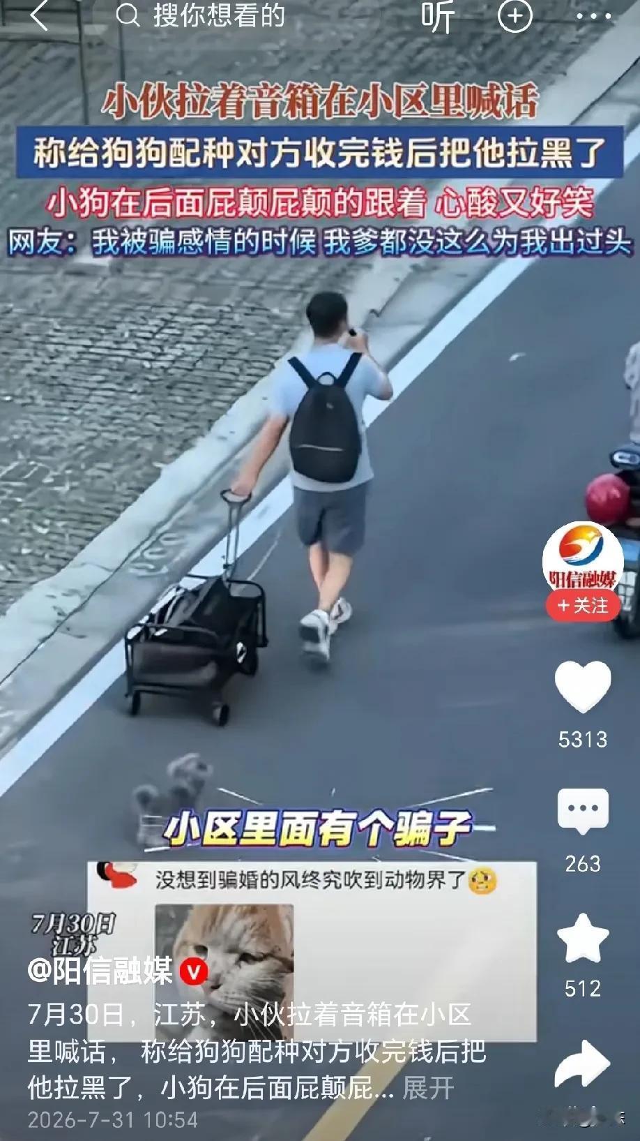 又心酸又好笑！江苏，小伙的狗狗发情，他找到一个自称可以给狗狗配种的人，万万没想到