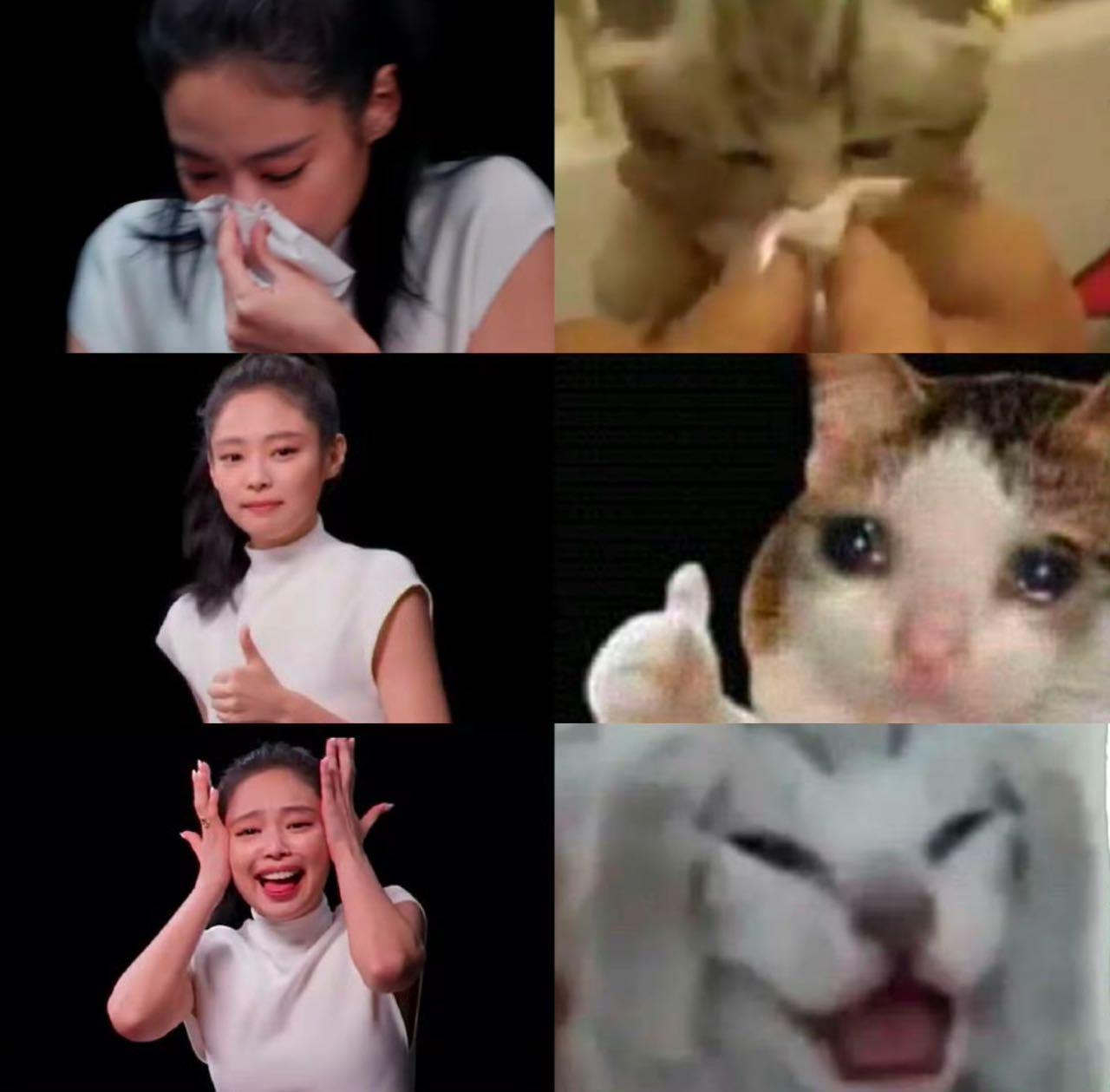 阿啊哈哈，谁给猫咪的勇气去吃辣椒~ ​​​