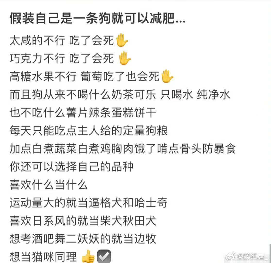 建议大家多向小狗学习现在的年轻人已经把修狗生活哲学玩出花了。我直接抄作业改成了终