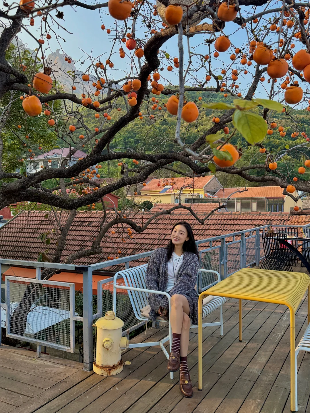 崂山柿子咖啡| 祝我们柿柿如意 柿柿顺心❤️