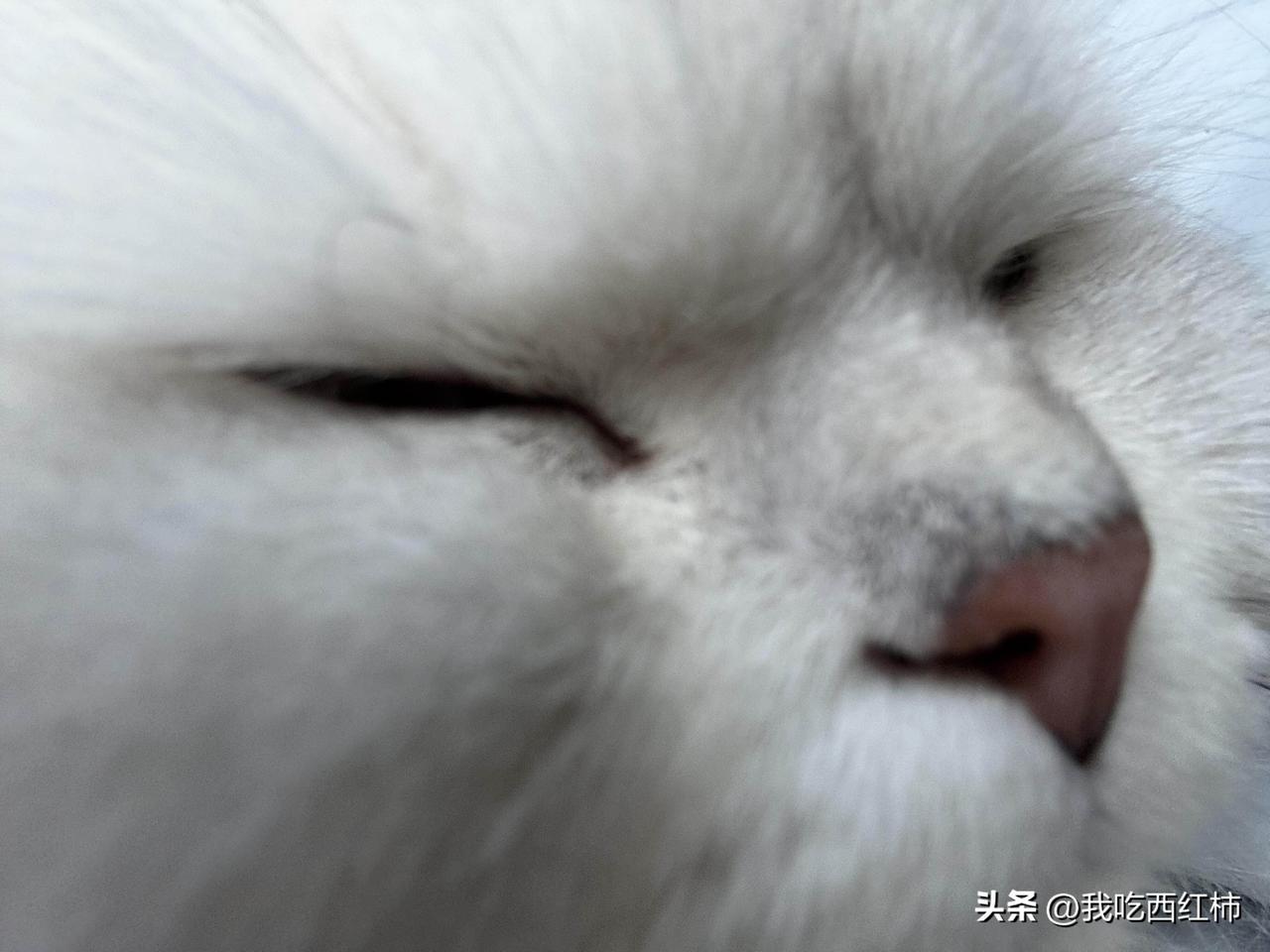 气到发抖！第一次开电竞酒店，被租客白嫖一年
真的越想越气！第一次创业开电竞酒店，