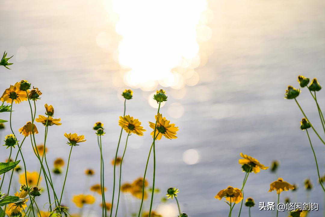小满时节