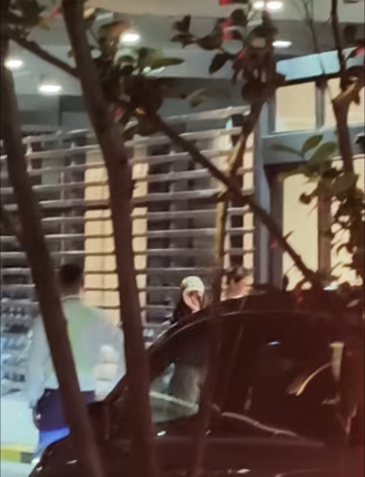 321小迪出现