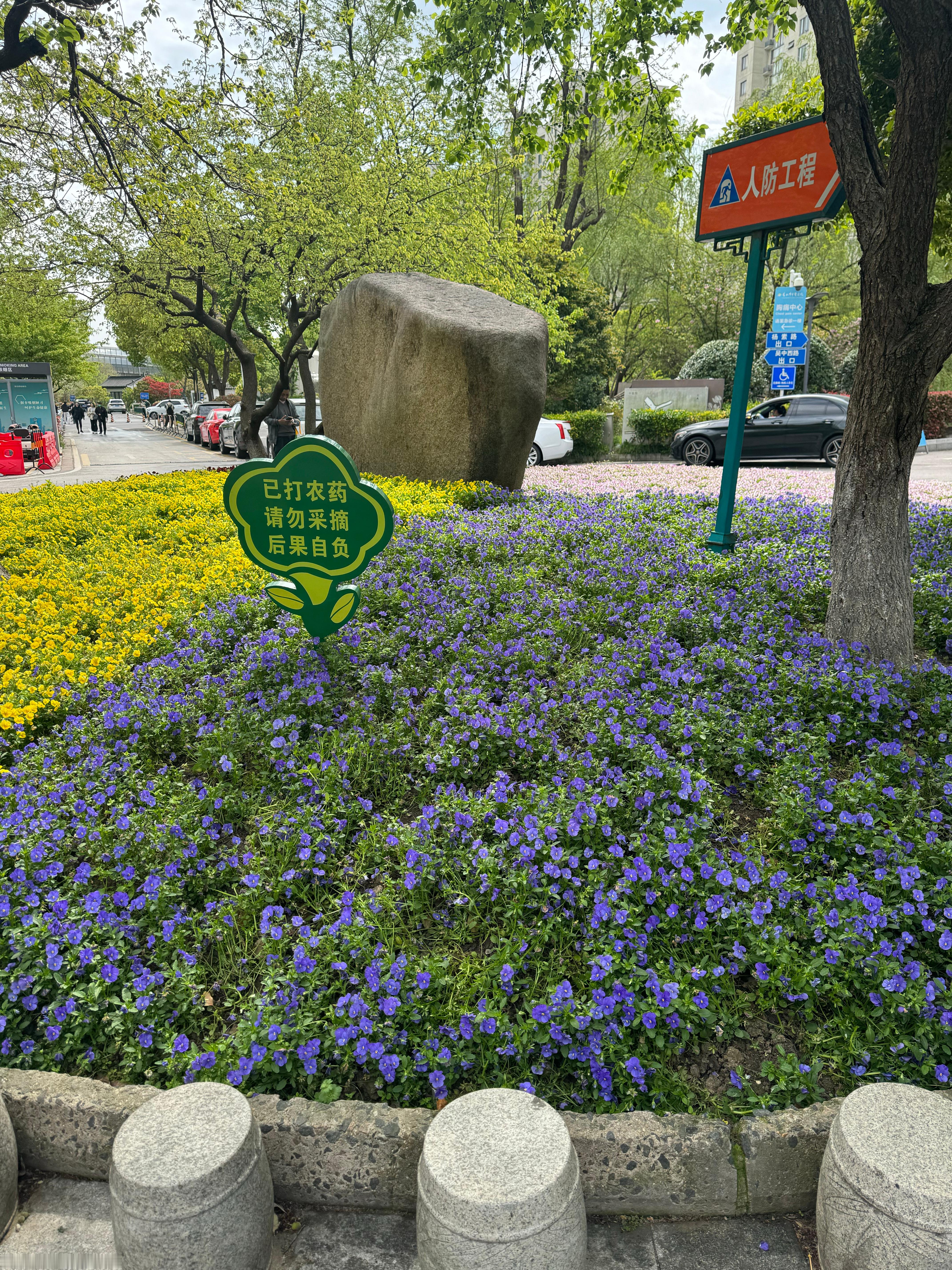 分享图片 苏州·苏州市中医医院