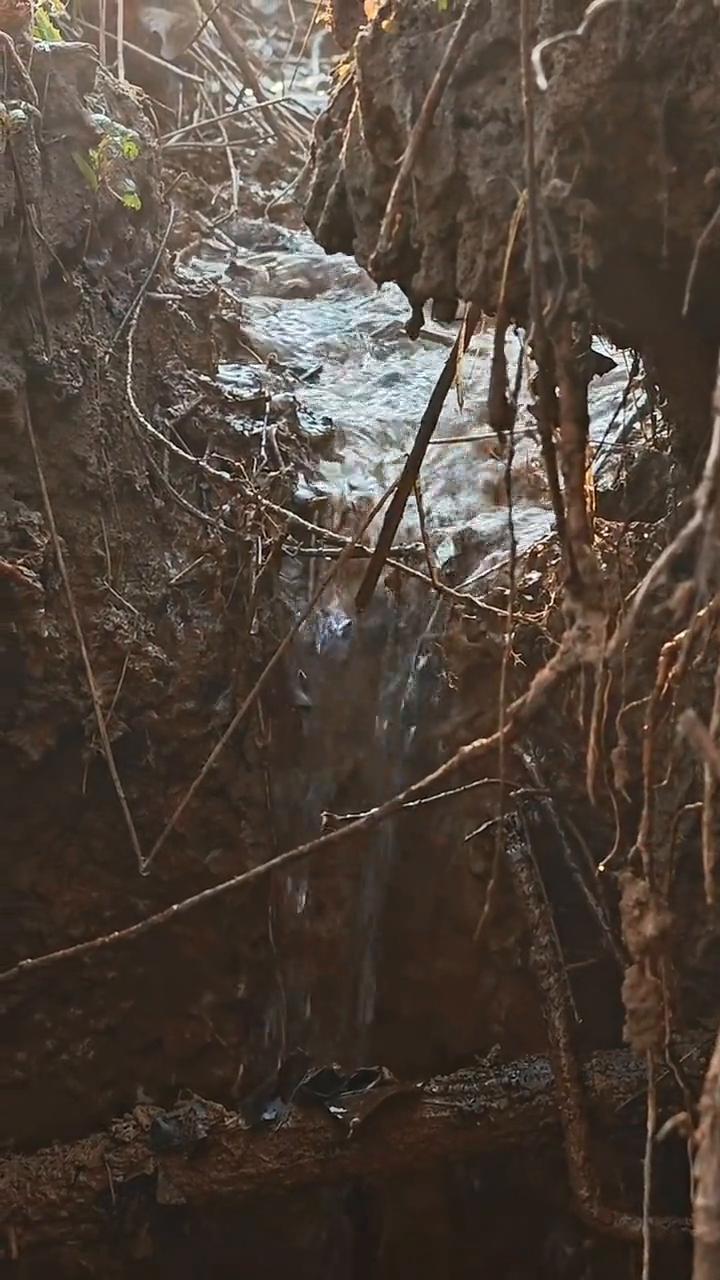 来，我下去感受感受。