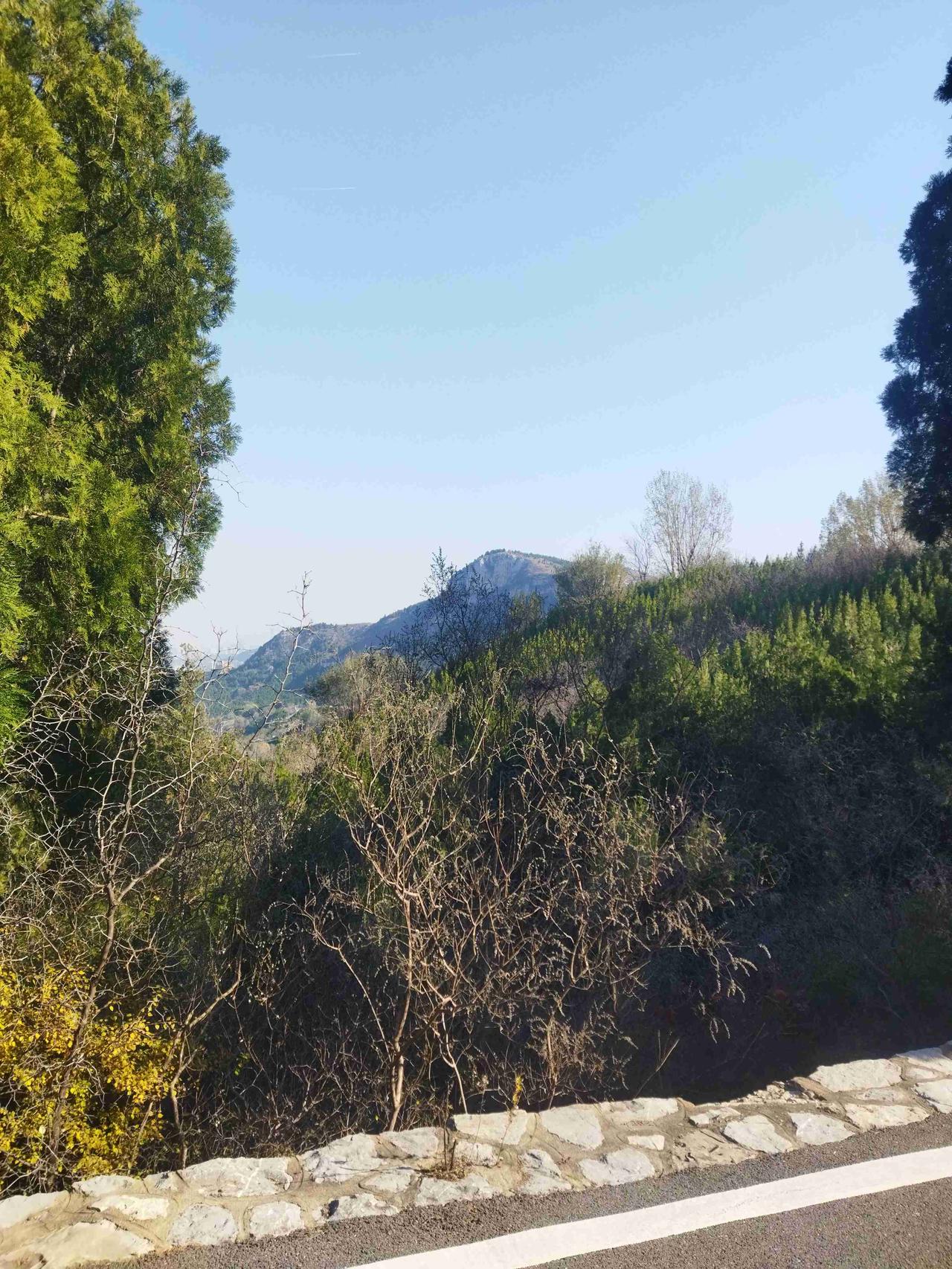 我的今日状态：🏃‍➡️运动
我这里的天气：🌤️多云