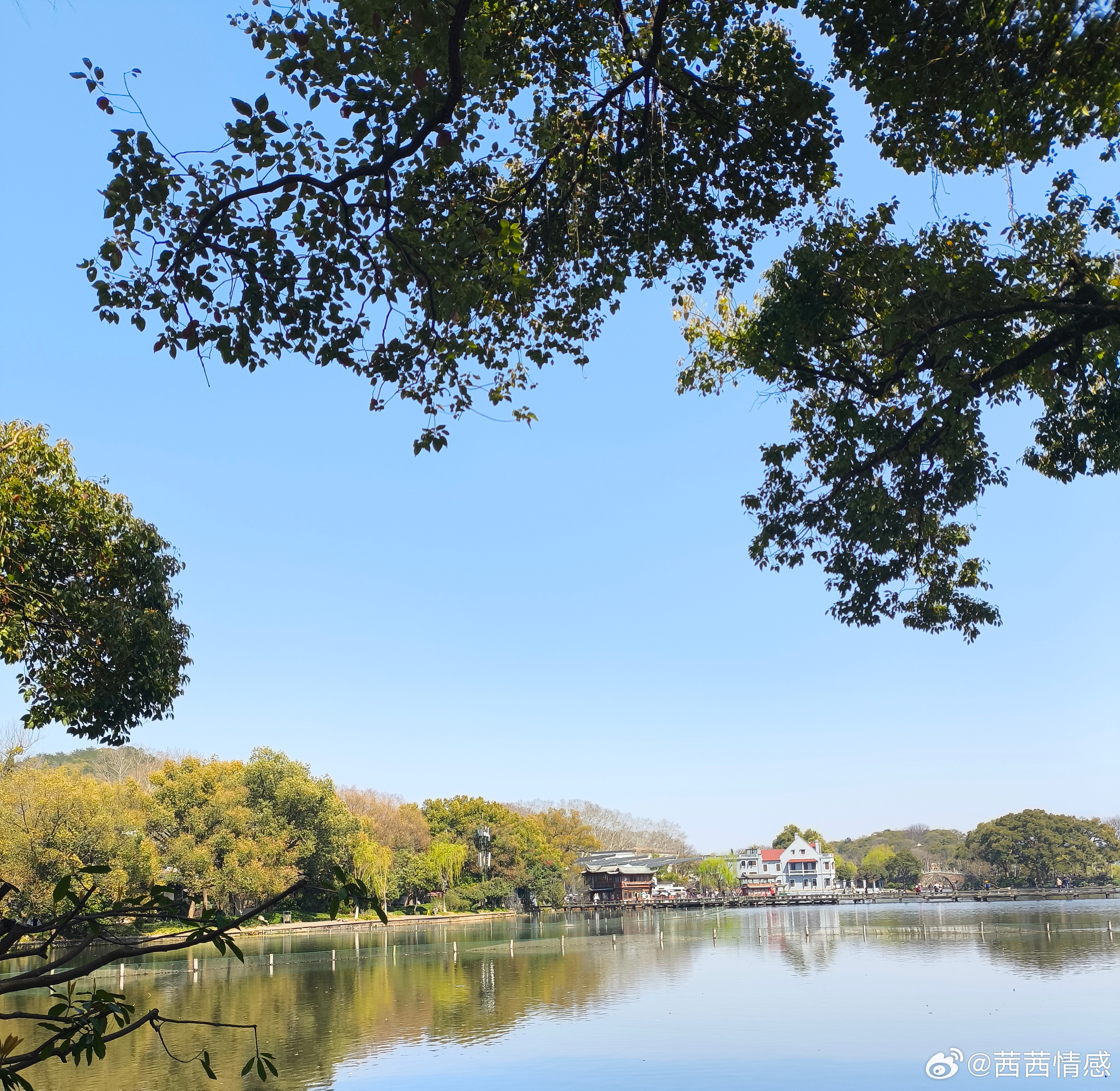 千万别跟负能量的人在一起情感一旦你身边总是围绕着那些负能量的人，你会发现自己的心