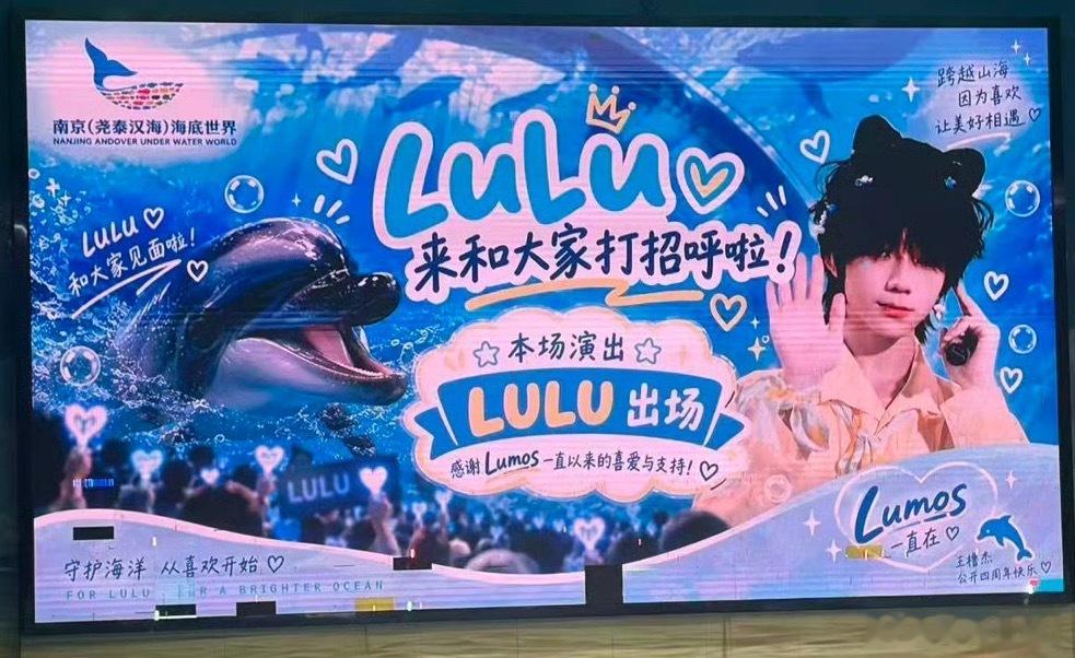 lwsw爱心认养海豚lulu，是因为在公益的道路上，遇到了难得的缘分，这只海豚妹
