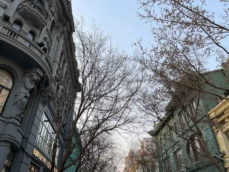 刚从哈尔滨旅游回来，给大家分享下花费。
住宿选在中央大街附近，民宿每晚 300 