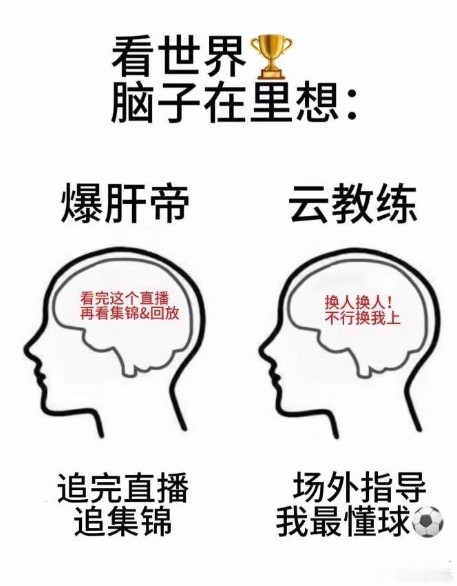 追世界杯的我belike白天困到睁不开眼，半夜精神抖擞盯屏幕，进球原地蹦，丢球独